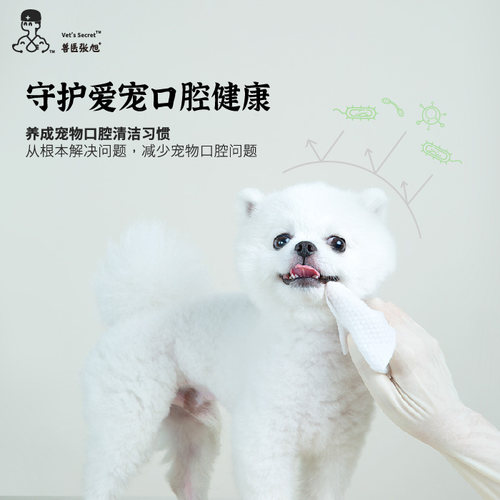 兽医张旭宠物多效抑菌口腔清洁犬猫消臭除臭泪痕擦牙擦脚湿巾 - 图0