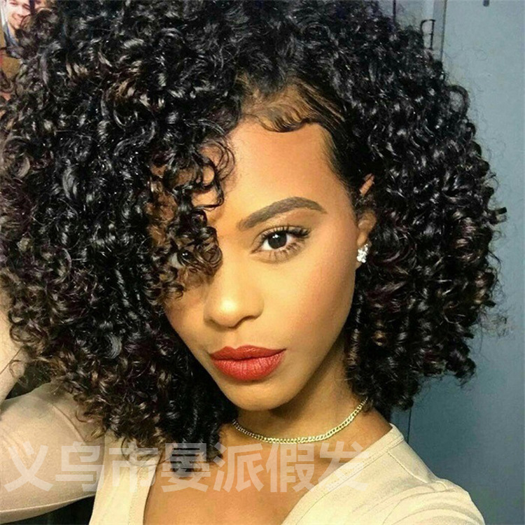 long Kinky Curly Wigs Black Mixed Brown Blonde Afro Wig Med - 图0