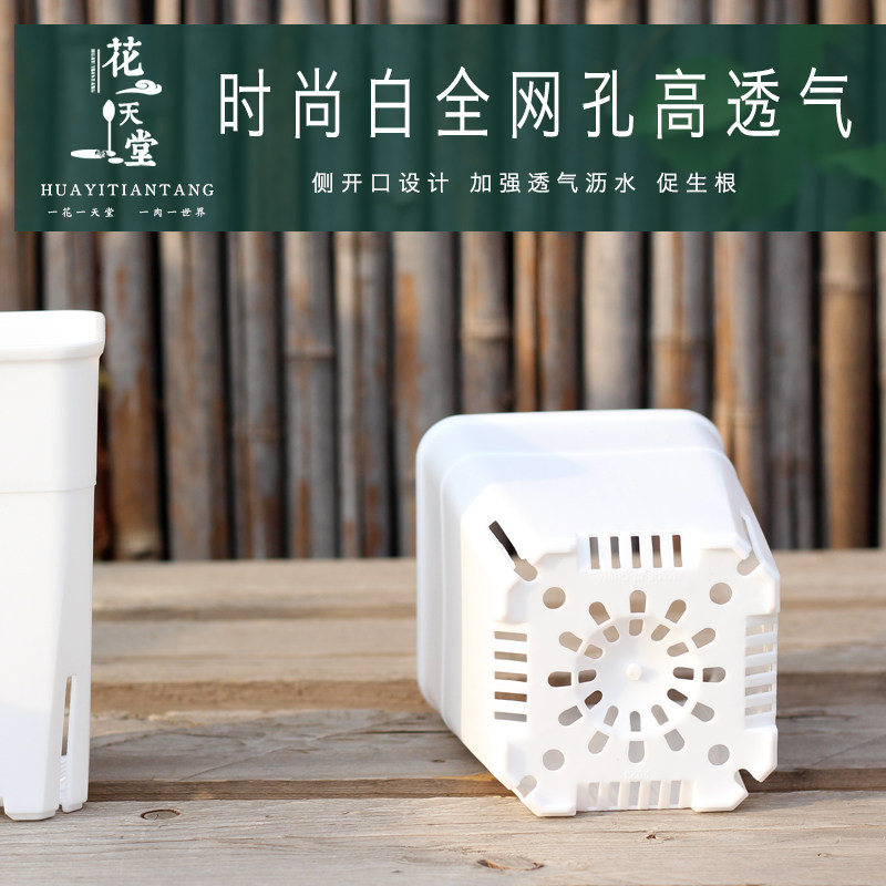 多肉塑料方高盆迷你侧开口控根多规格万象玉露块根仙人球番杏花盆,淘宝优惠券,粉丝福利购,淘宝优惠卷