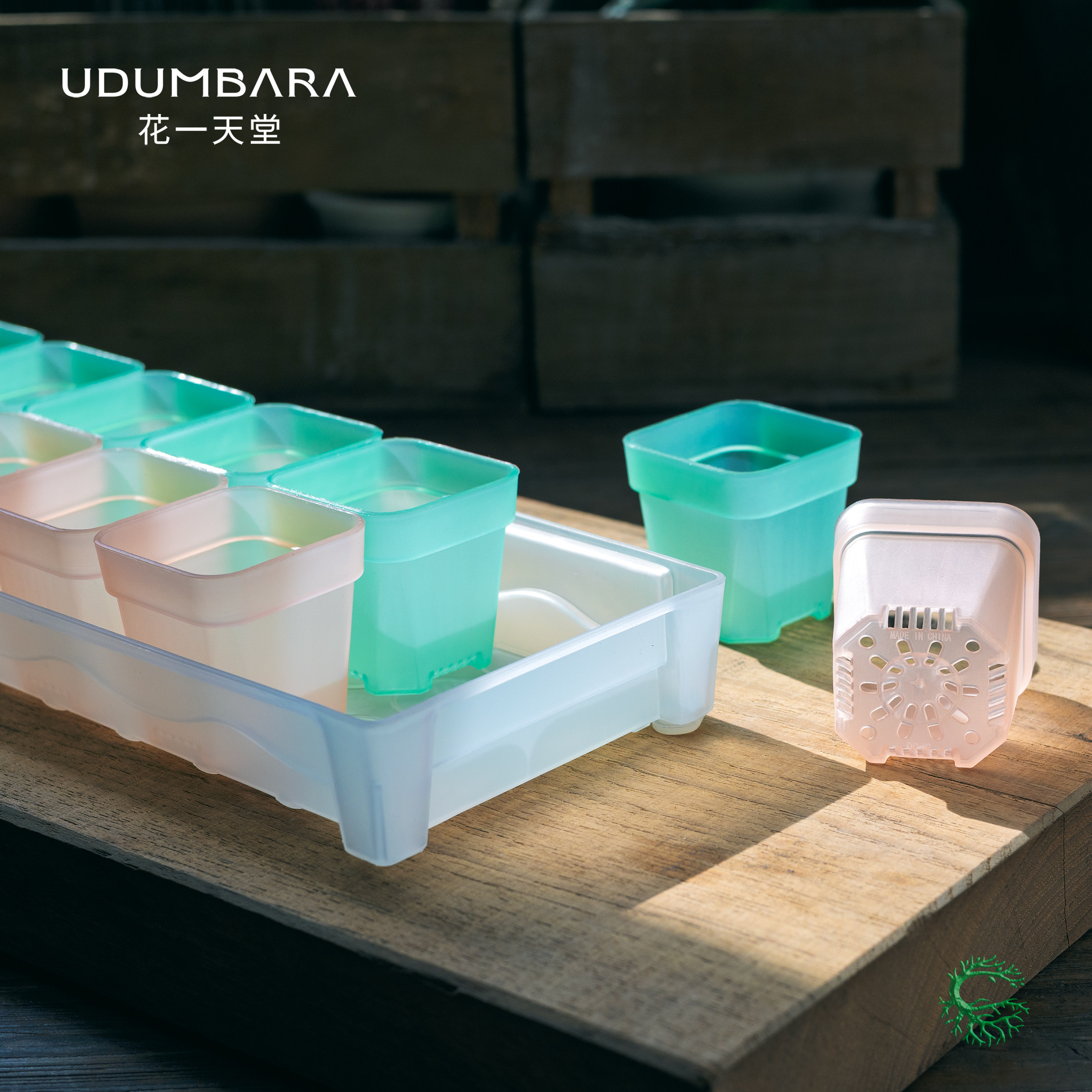 花一天堂加厚5口径半透塑料多肉花盆窗台接水长方形托盘浸盆组合,淘宝优惠券,粉丝福利购,淘宝优惠卷