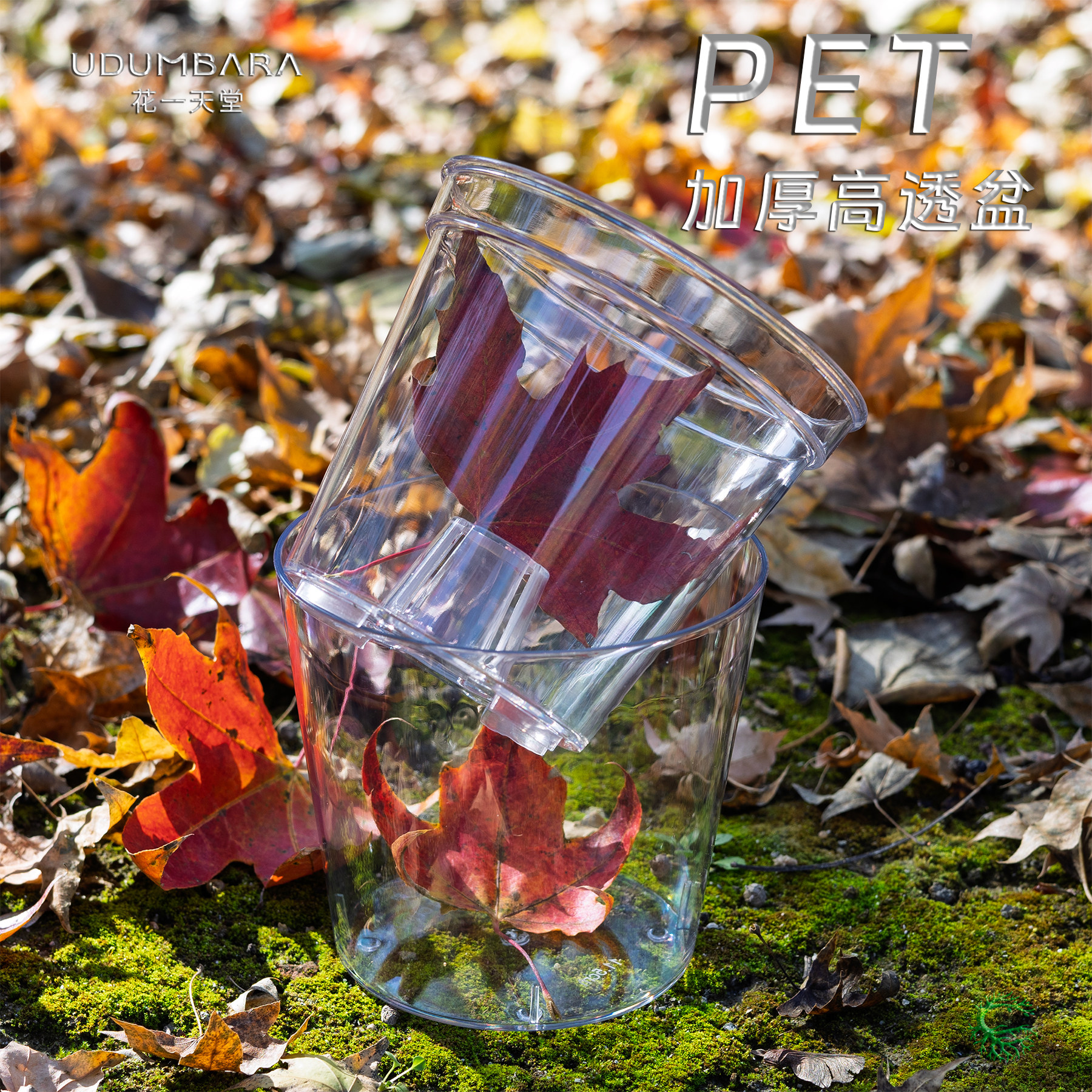 PET高透加厚圆口蝴蝶兰角堇花盆热植花卉盆栽办公桌多肉块球根盆,淘宝优惠券,粉丝福利购,淘宝优惠卷