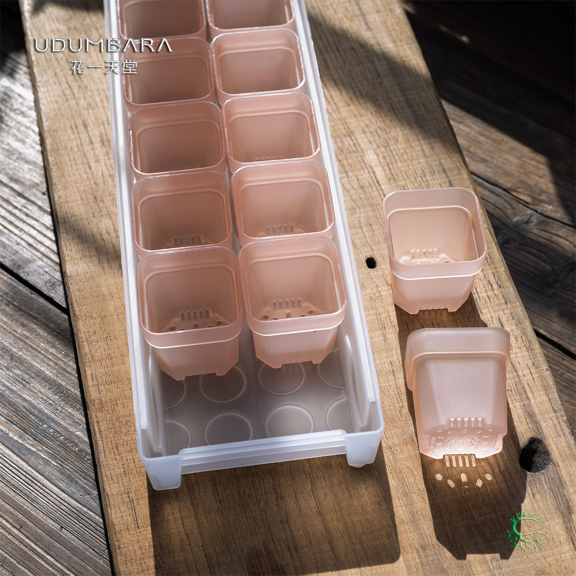 花一天堂加厚5口径半透塑料多肉花盆窗台接水长方形托盘浸盆组合,淘宝优惠券,粉丝福利购,淘宝优惠卷