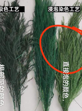 花艺布置永生花芦寻草龙须羽毛草干花灵动森系拍摄道具烟雾感婚庆