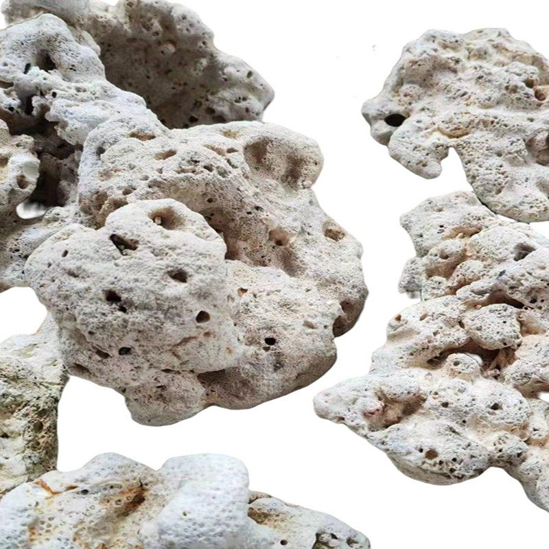 天然珊瑚海缸造景石水族珊瑚骨滤材鱼缸假山死石活石萌爬宠躲避屋,淘宝优惠券,粉丝福利购,淘宝优惠卷