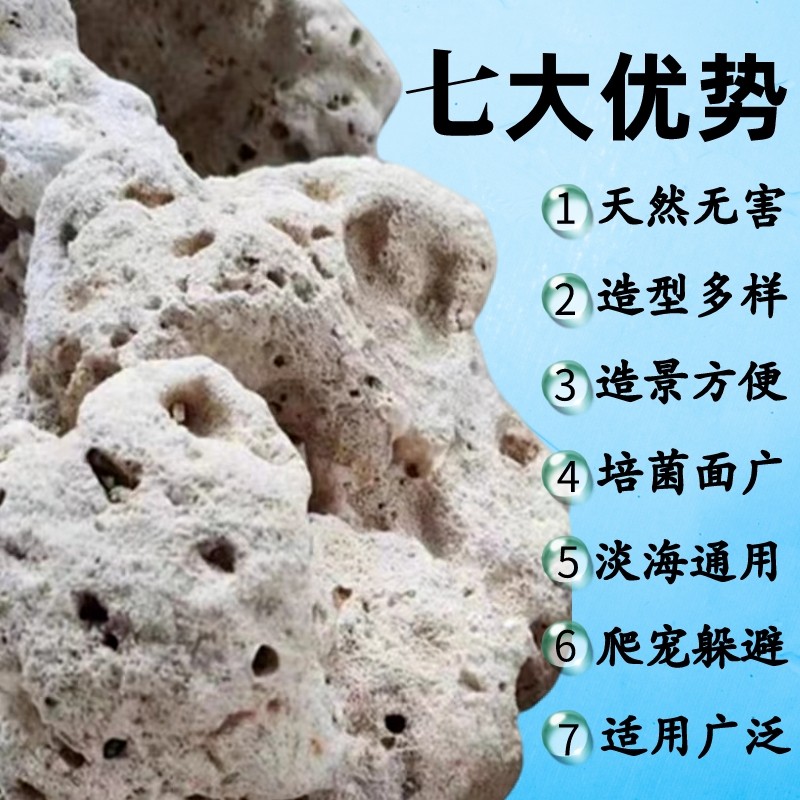 天然珊瑚海缸造景石水族珊瑚骨滤材鱼缸假山死石活石萌爬宠躲避屋,淘宝优惠券,粉丝福利购,淘宝优惠卷