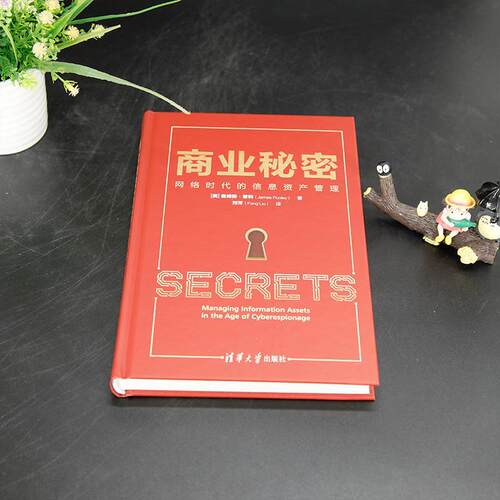 RT现货速发 商业秘密:网络时代的信息资产管理:managing information assets 9787302643845 詹姆斯·普利清华大学出版社法律书籍 - 图0