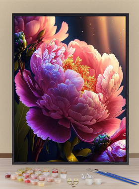 新中式牡丹花卉数字油画diy填充