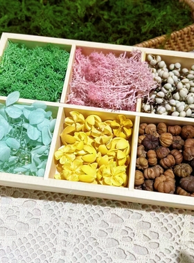 亲子手工课自然干花植物松果橡果苔藓diy木屋配件森系微景观装饰
