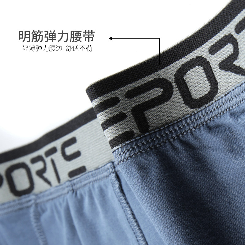 碧竹碧竹50支纯棉加肥胖加大宽松男内裤大码中腰平脚明筋贴肤保暖,淘宝优惠券,粉丝福利购,淘宝优惠卷