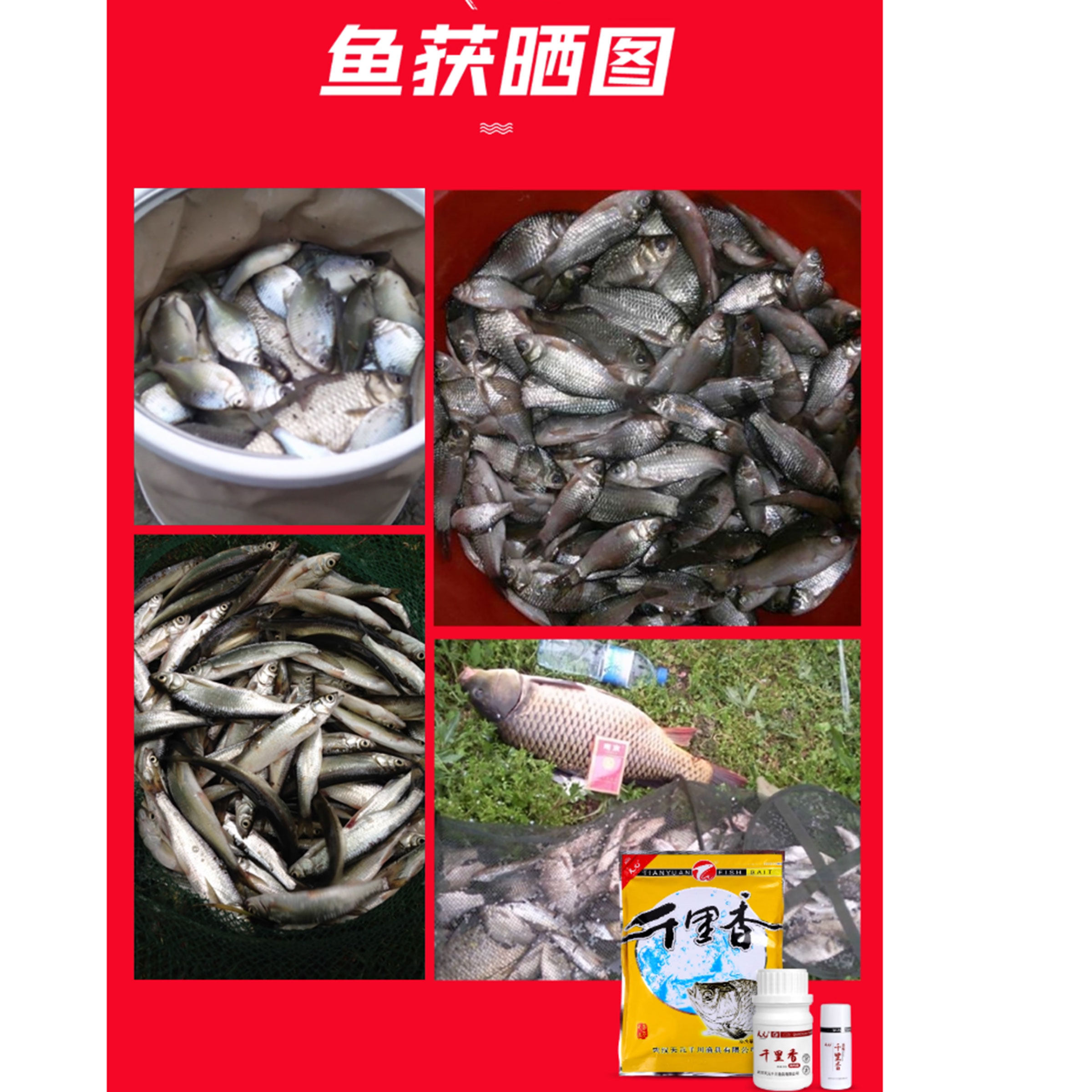 正品武汉天元邓刚千里香饵料小药粉末液浓香鱼食黑坑野钓通用诱鱼,淘宝优惠券,粉丝福利购,淘宝优惠卷