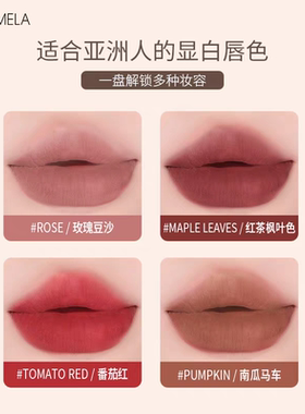 卡梅拉18色调色口红盘多色