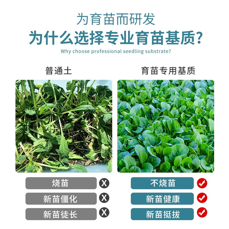 育苗基质专用营养土瓜果蔬菜通用型有机土水稻种植家庭园艺育苗土-图2