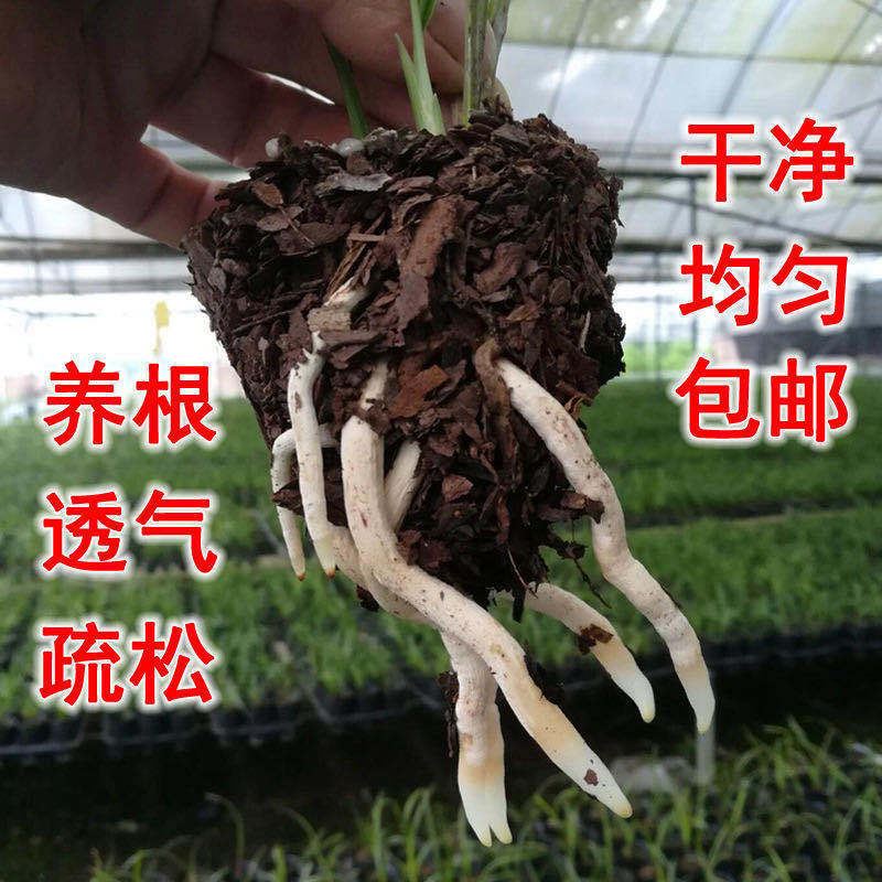 兰科营养土铁皮石斛专用植料兰花栽培基质松磷腐熟大块发酵松树皮-图3