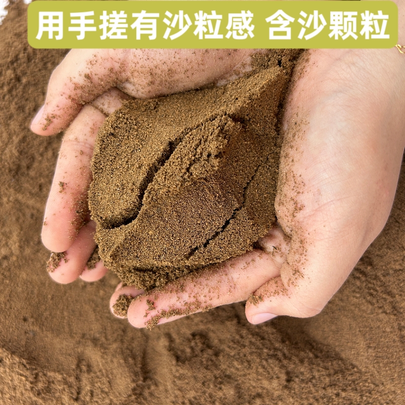 天然沙土沙壤土种菜养花盆栽花卉专用种植土细沙土沙土搭配营养土 - 图1