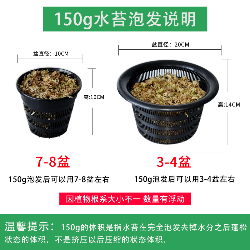 水苔包邮蝴蝶兰花专用营养土无菌智力干水苔兰花无土栽培介质花土 - 图2