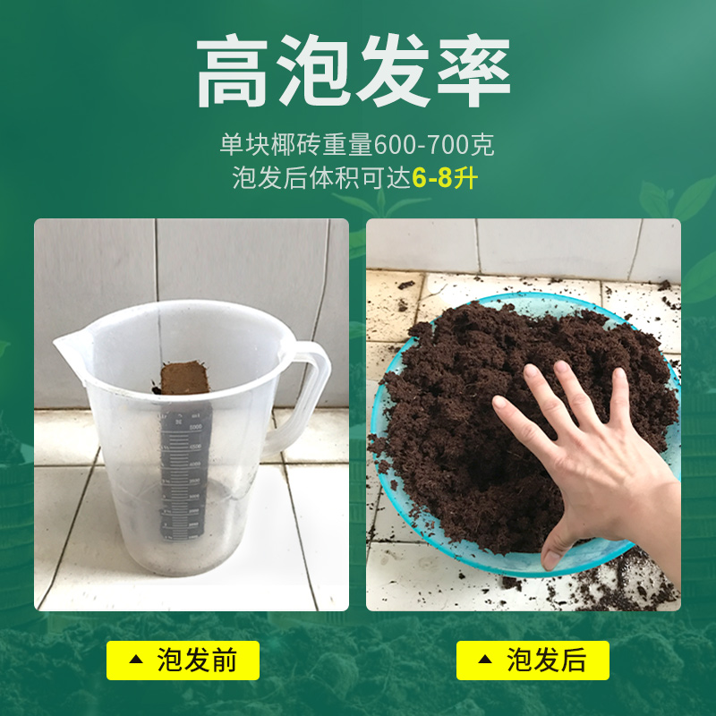 花土椰砖营养土通用型进口椰砖脱盐椰糠散装粗椰壳大块无菌种菜土-图2