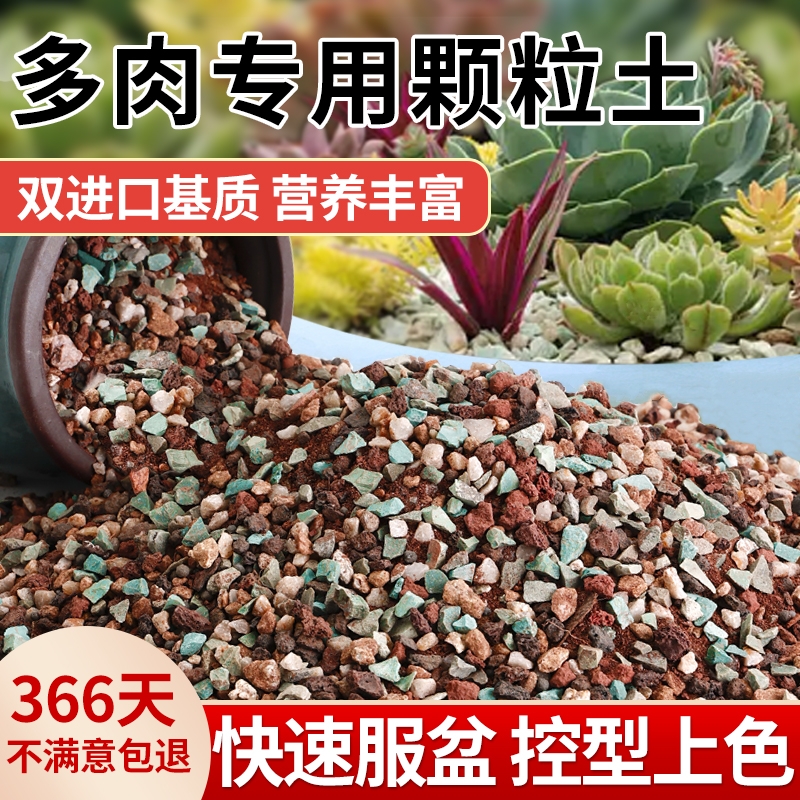 多肉营养土颗粒专用土壤种植栽培土养花通用型泥炭植物花土铺面石 - 图0