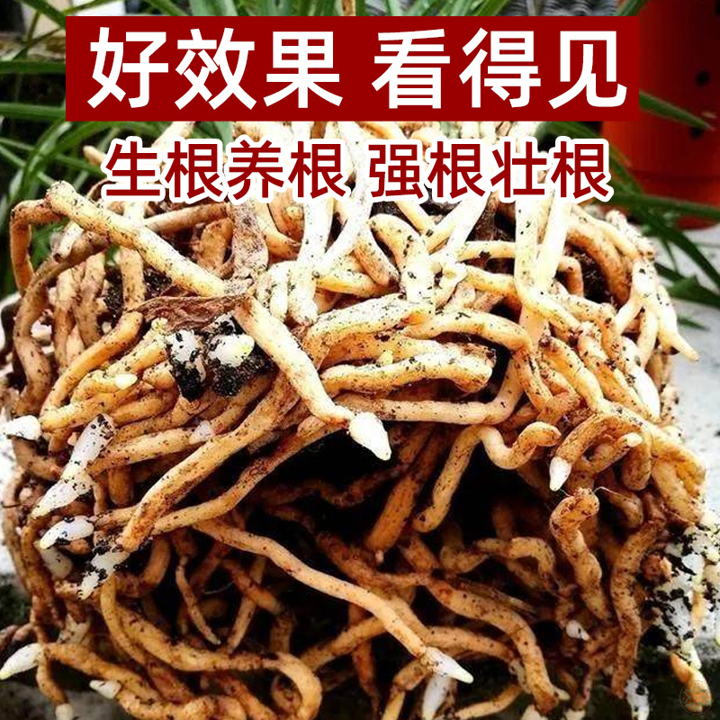 兰花专用土家用蝴蝶兰专用土松树柳树皮植料石斛君子兰肥料营养土 - 图2