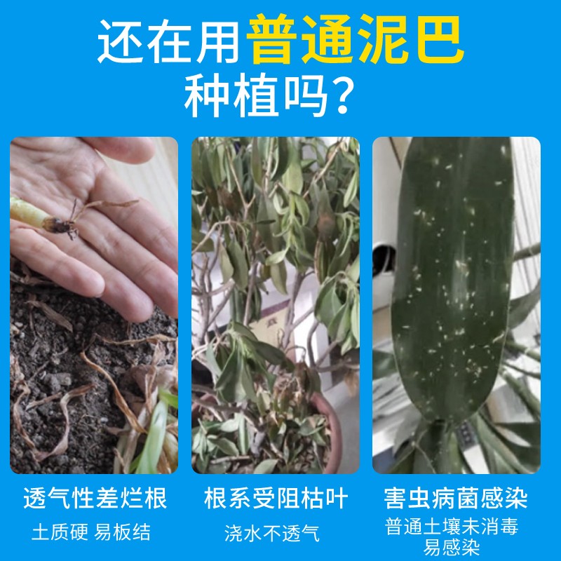 椰砖营养土通用型椰糠椰土养花种菜脱盐进口兰花土种植土介质专用 - 图0