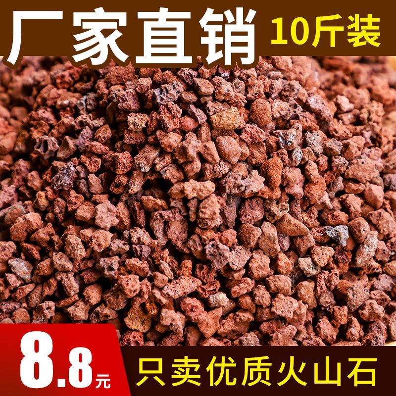 火山石颗粒兰花专用土铺面石多肉盆栽火山岩家用兰科植料透气水族 - 图0