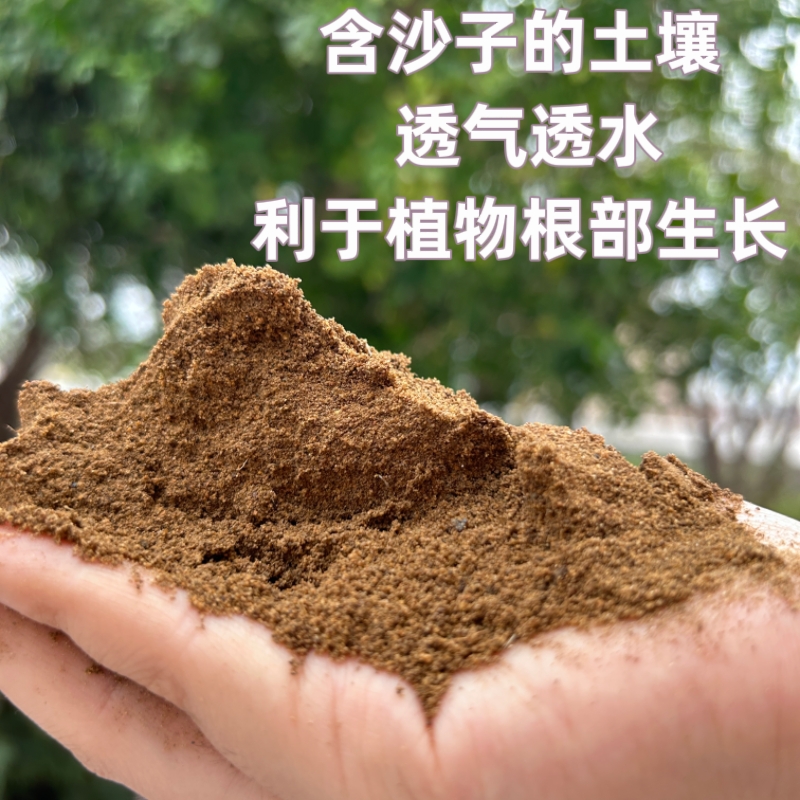 天然沙土沙壤土种菜养花盆栽花卉专用种植土细沙土沙土搭配营养土 - 图0