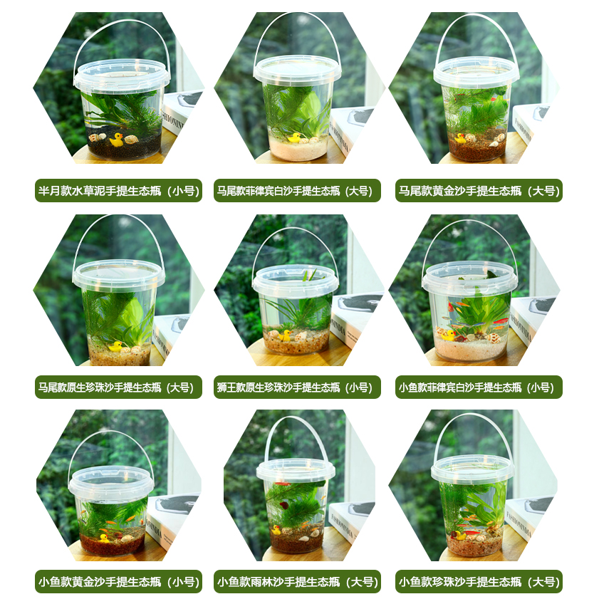 生态瓶DIY小鱼手提塑料微景观淡水冷水观赏鱼虾真水草活体学校-图2