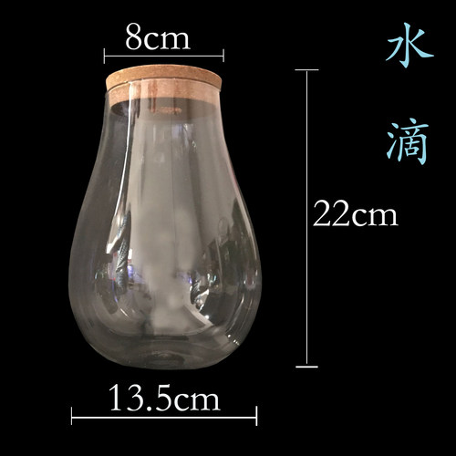 生态瓶DIY鱼微景观生态球高朋硅创意DIY设计花瓶玻璃鱼缸办公桌 - 图0