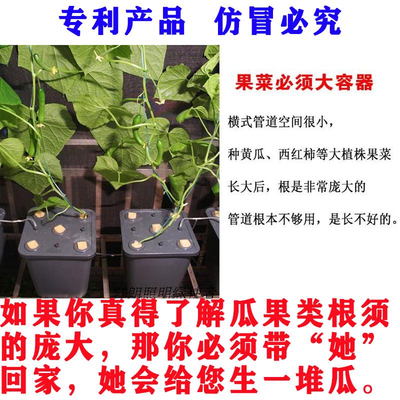 儒风阳台无土栽培花盆水培果菜番茄西瓜瓜果类静水培设备种植桶箱 - 图1