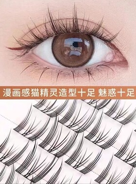 根根分明自然贴合放大双眼电力十足免胶假睫毛猫精灵日常约会佩戴