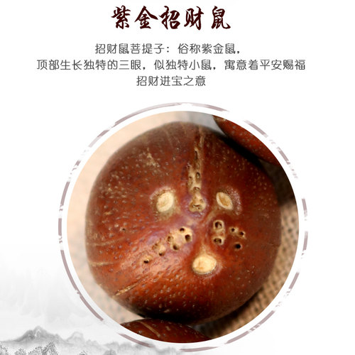 招财鼠紫金鼠手串菩提子原籽念珠男文玩佛珠正圆本命年三眼女天然 - 图1