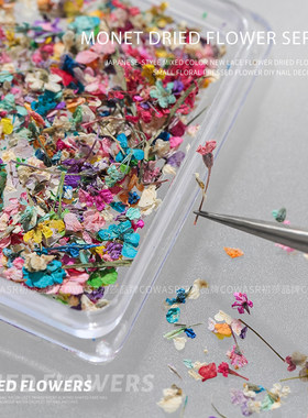 美甲干花指甲饰品日式ins风莫奈花园油画花瓣小花碎花混合diy材料