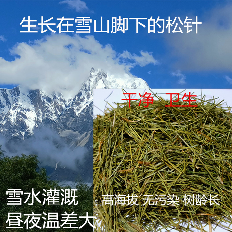 特级西藏高原野生松针茶松针粉干松针全松针产地发货500克包邮