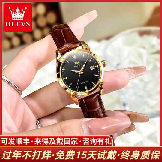 Nouveau 2025 Marque Nom de marque Femme Watch Women's Mechanical Watch Belt Belt Niche Temperament Temperament Small Women's Watch