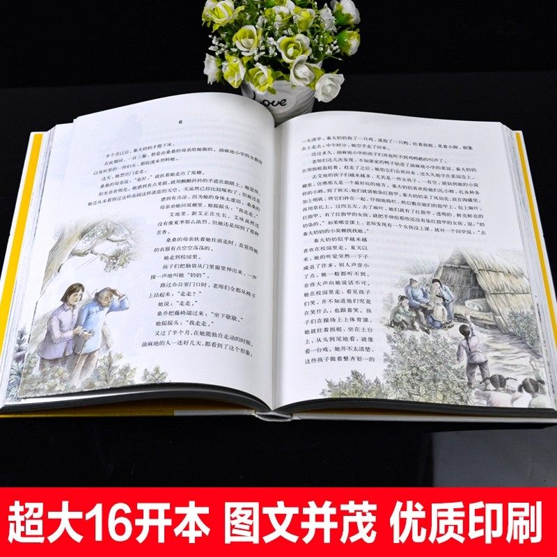 正版 曹文轩画本草房子精装典藏版 小学生四五六年级语文课外阅读书籍 冰心儿童文学奖 国际安徒生奖获奖作品 长江少年儿童出版社,淘宝优惠券,粉丝福利购,淘宝优惠卷