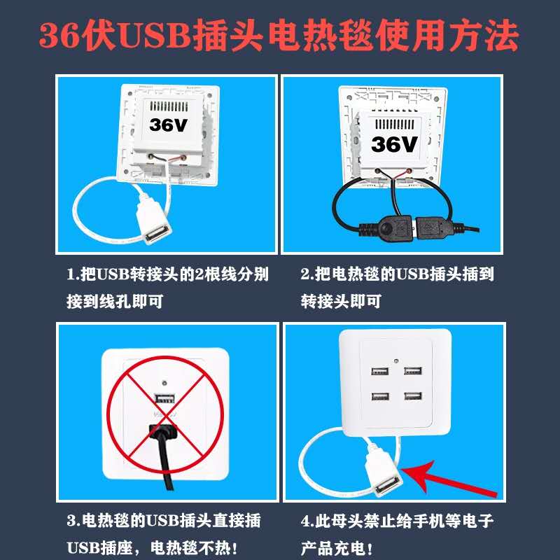 36伏电热毯usb插头工地宿舍专用低压单双人安全加厚36v电褥子调温 - 图0