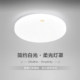 Foshan Lighting LED bedroom study ceiling light