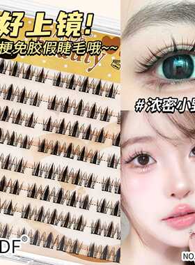 美丽无胶假睫毛自然卷翘仿真上镜