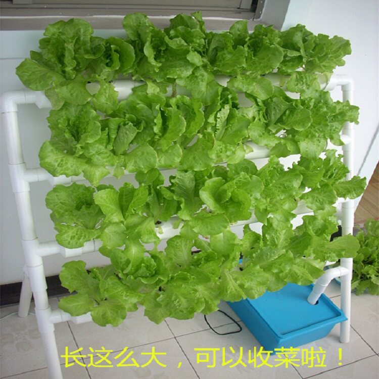 无土栽培设备家庭阳台种菜机管道式水培蔬菜自动化水耕多层种植架,淘宝优惠券,粉丝福利购,淘宝优惠卷