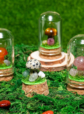 天然水晶原石玉石蘑菇微景观摆件水晶石矿标漂流瓶家居装饰