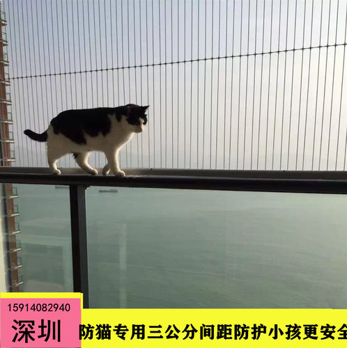 阳台窗户隐形防盗网防护网窗316不锈钢丝深圳广州东莞佛山包安装 - 图0