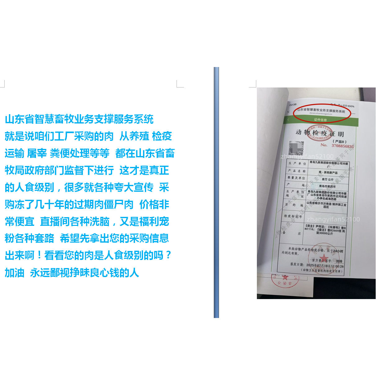 自制牛肉三文鱼鲜肉猫粮干粮成猫幼猫通用型营养增肥发腮美毛包邮,淘宝优惠券,粉丝福利购,淘宝优惠卷