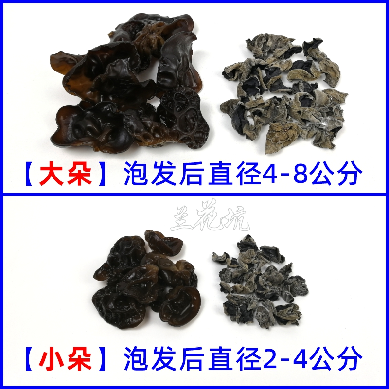 兰花坑黄山黑木耳干货软糯肉厚无根天然糯木耳椴木秋冬耳大朵小朵 - 图0