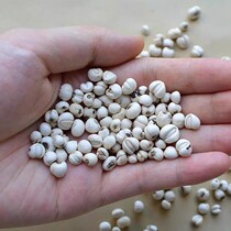 Wild SongBeichuan fritillary Sichuan Ganizawa fritillary without sulphur and bleached 30 gr