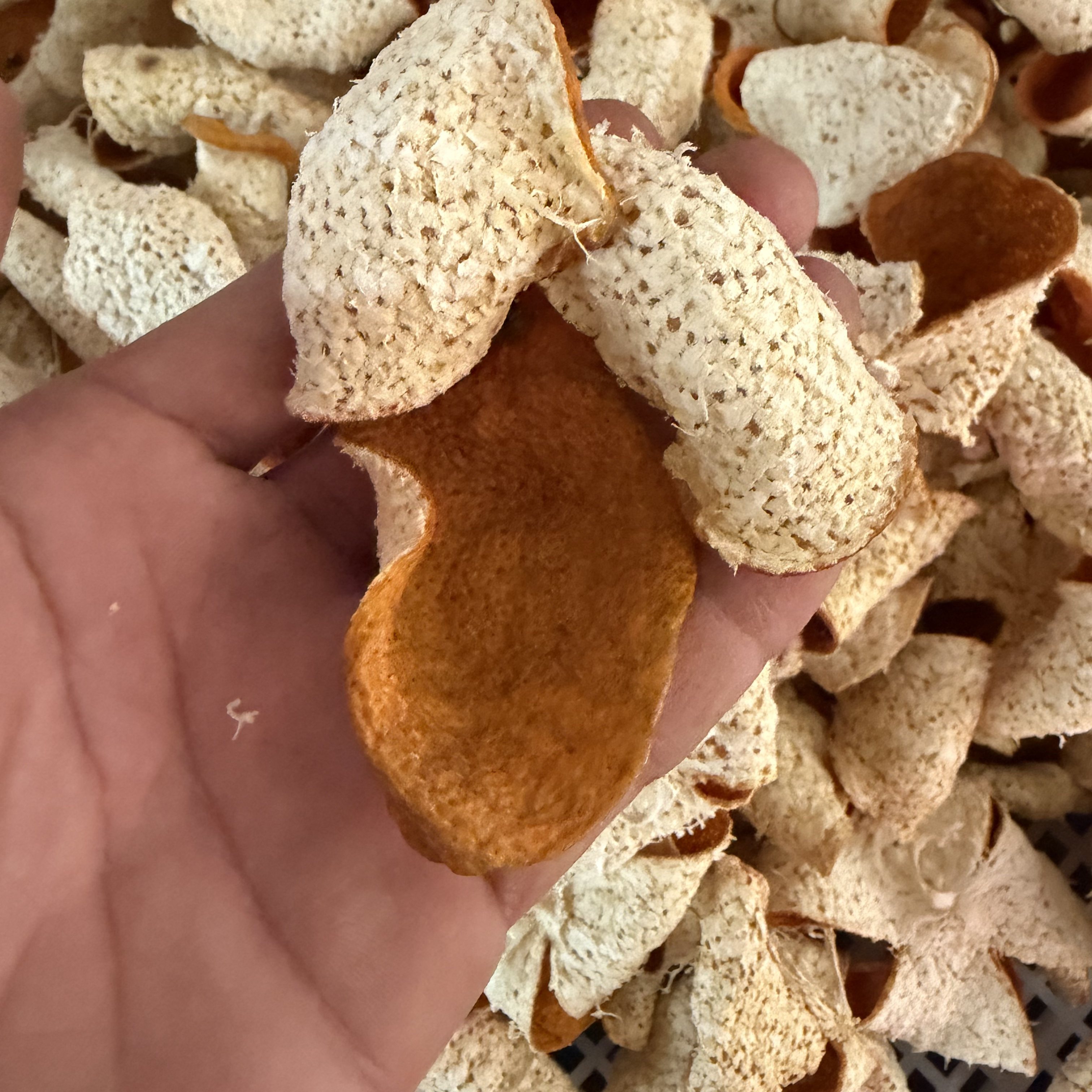 茶坑果农2025年正宗新会陈皮柑8年老树圈枝冬后大红柑皮,淘宝优惠券,粉丝福利购,淘宝优惠卷