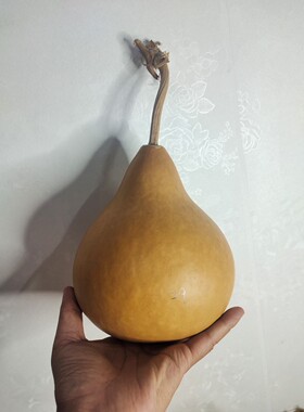 单肚蒜头油锤把玩单肚蒜头油锤