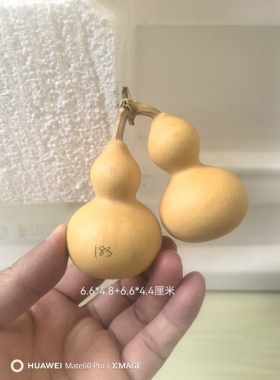 手把连枝摆件一物一图文玩