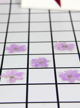 diy飞燕草千色鸟手机壳香薰蜡片