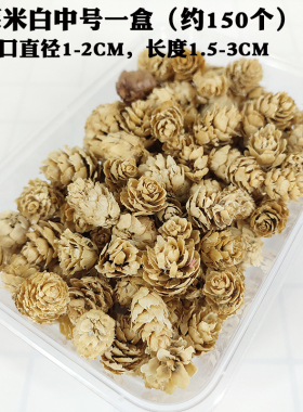 盒装漂白迷你小松果diy手工材料