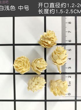 迷你漂白松果小落叶松拍摄道具浮游香水瓶香薰蜡烛片diy干花材料
