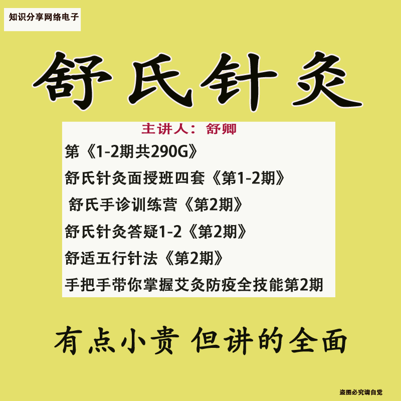 舒氏针灸彩超内部资料舒卿主讲课件教程视频手诊诊断针灸学中医课 - 图3